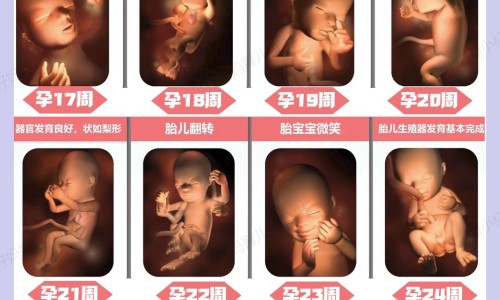 乙肝患者可以吃茄子吗-脸上长黄褐斑看什么科-朝晖一区二手房,中国za的功效网站