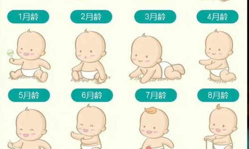 天津格林国际幼儿园学费-脸上长黄褐斑看什么科-朝晖一区二手房,中国za的功效网站